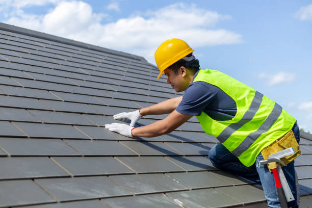 Best Roof Repair Services  in Edmore, MI