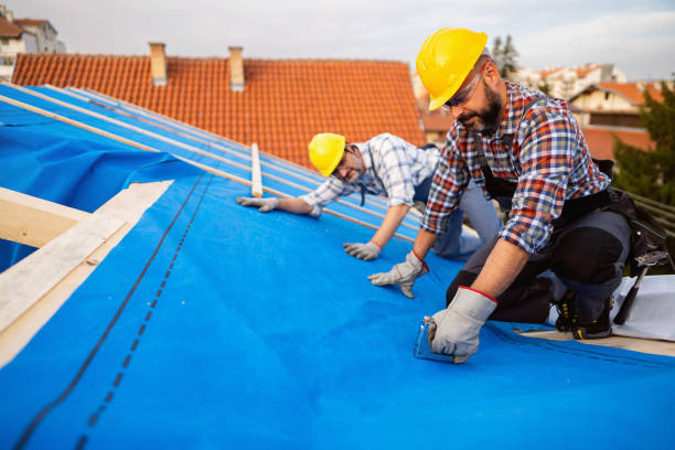 Best Roof Maintenance Services  in Edmore, MI