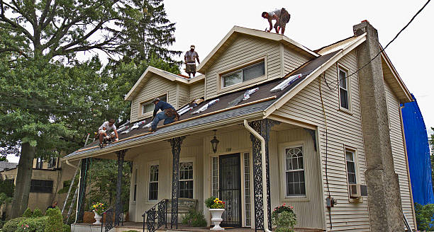 Best Residential Roofing Contractor  in Edmore, MI