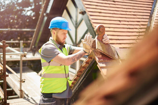 Best Roof Gutter Cleaning  in Edmore, MI