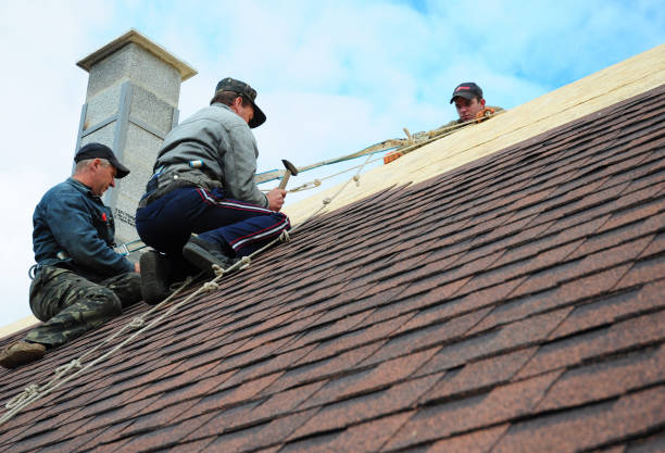 Best Best Roofing Contractors  in Edmore, MI