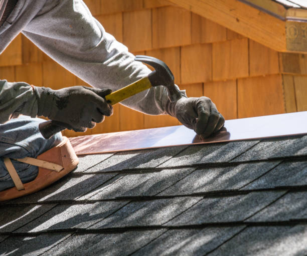 Best Roof Waterproofing Services  in Edmore, MI
